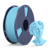 Friendly Hobbies 3D Printer PLA Filament 1kg Spools